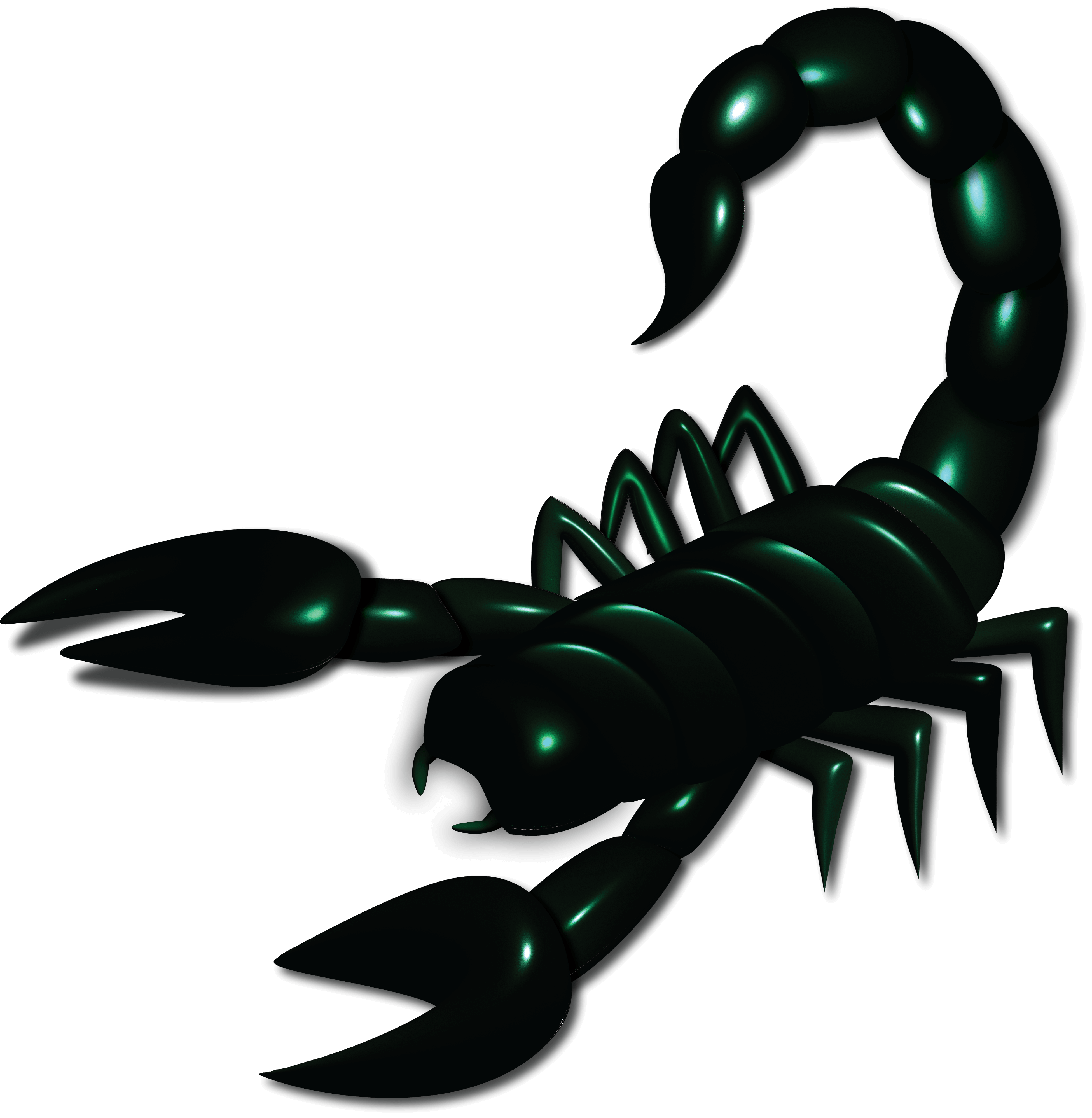 scorpion
